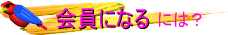 ɂȂɂ